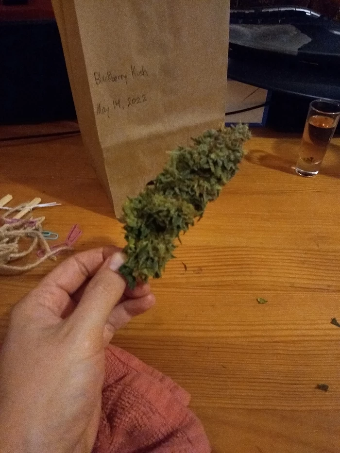 bud