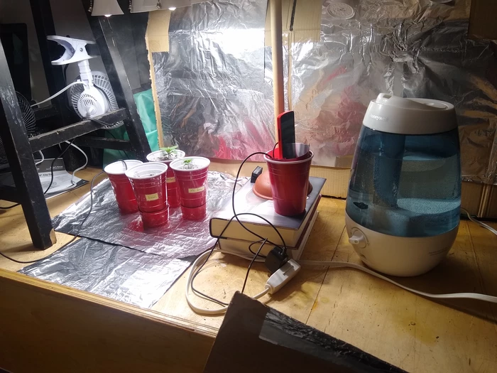 laboratory