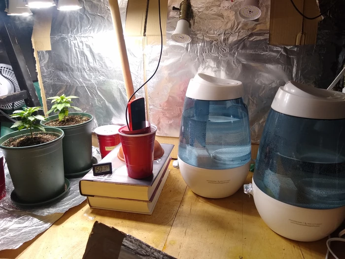 humidifiers