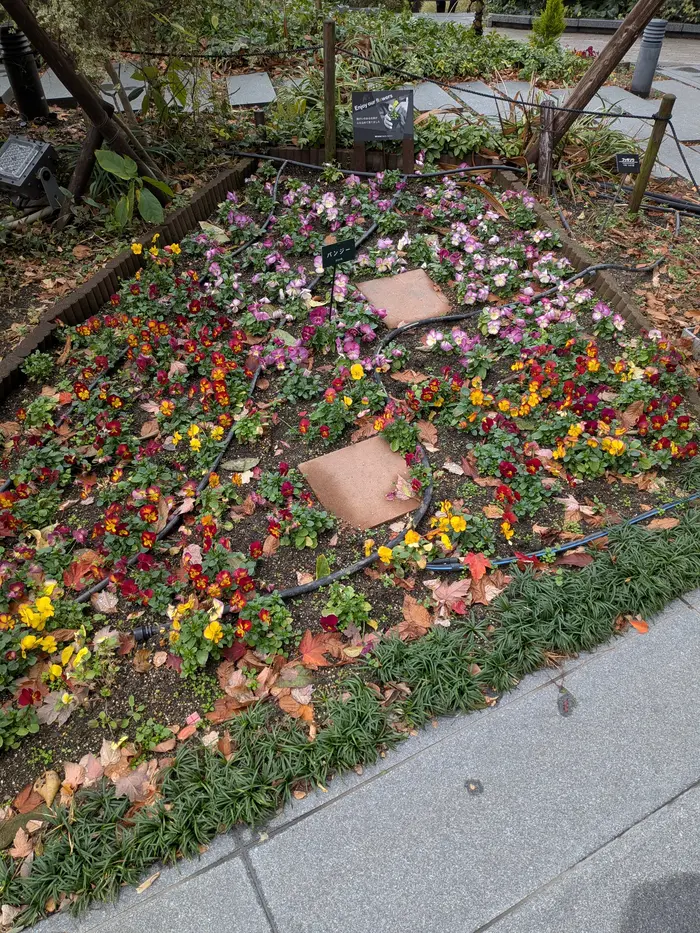 another flower arrangement