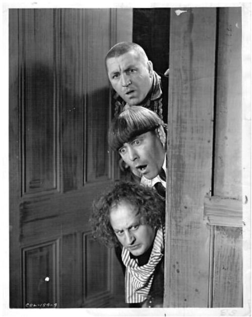 Pasha, Sasha, and David