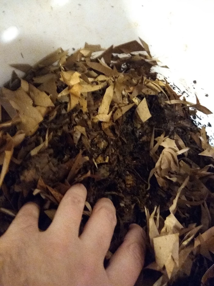 digging into the bin