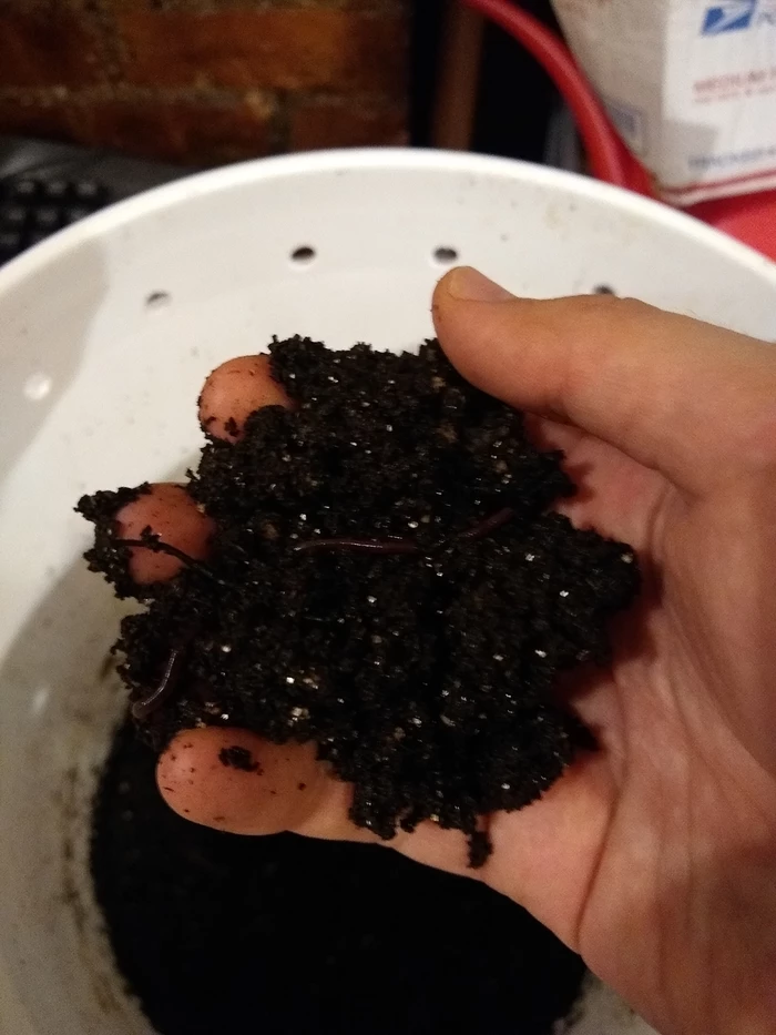 castings with worms closer
