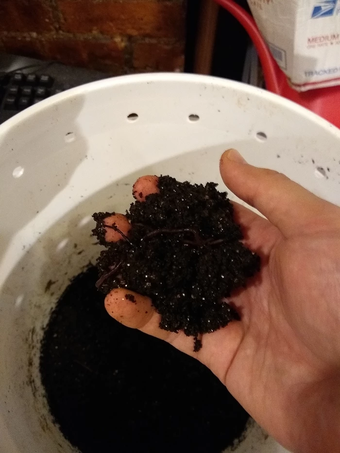 holding castings with worms
