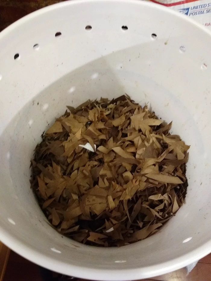 worm bin uncovered